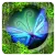 Flutter Bombs