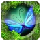 Flutter Bombs