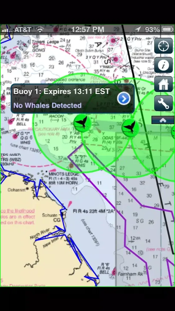 Zrzuty ekranu Whale Alert - Ship Strike Reduction for Right Whales