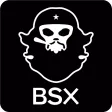 BSX