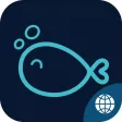 FishStar — Every fish is a super star