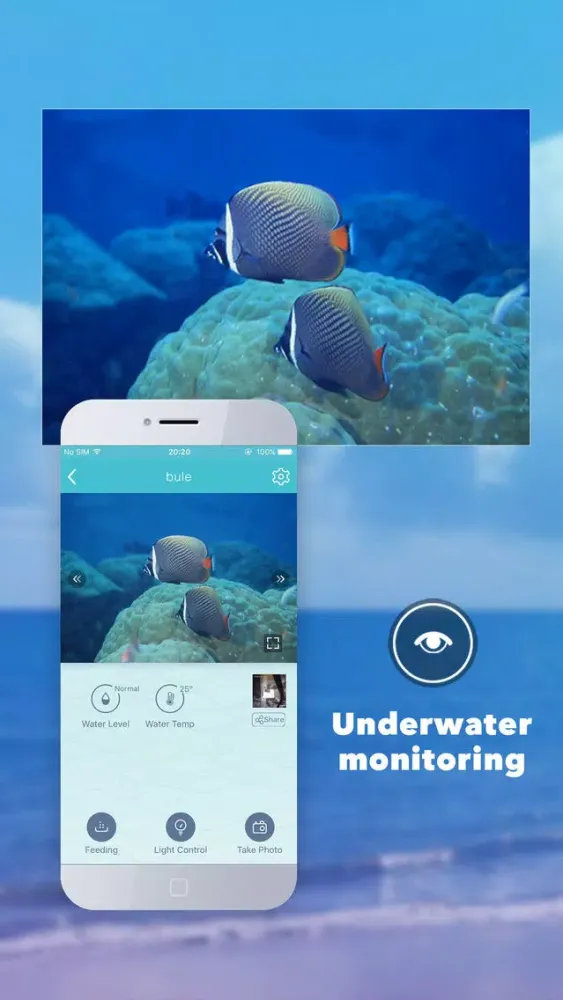 Capturas de pantalla de FishStar — Every fish is a super star