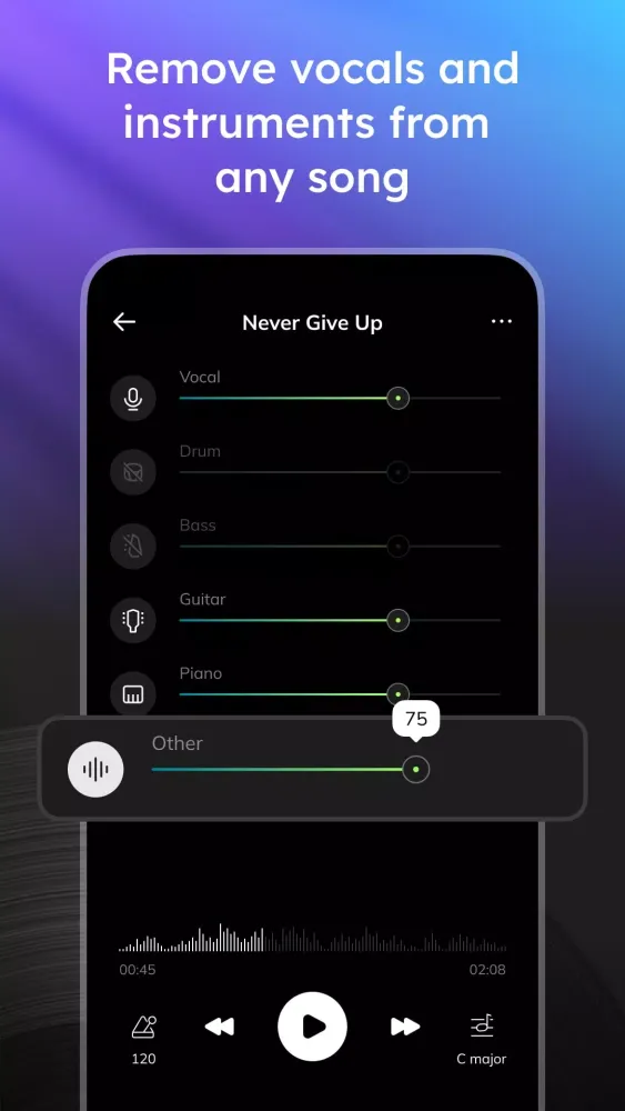 Vocal Remover - Musiclab Screenshots