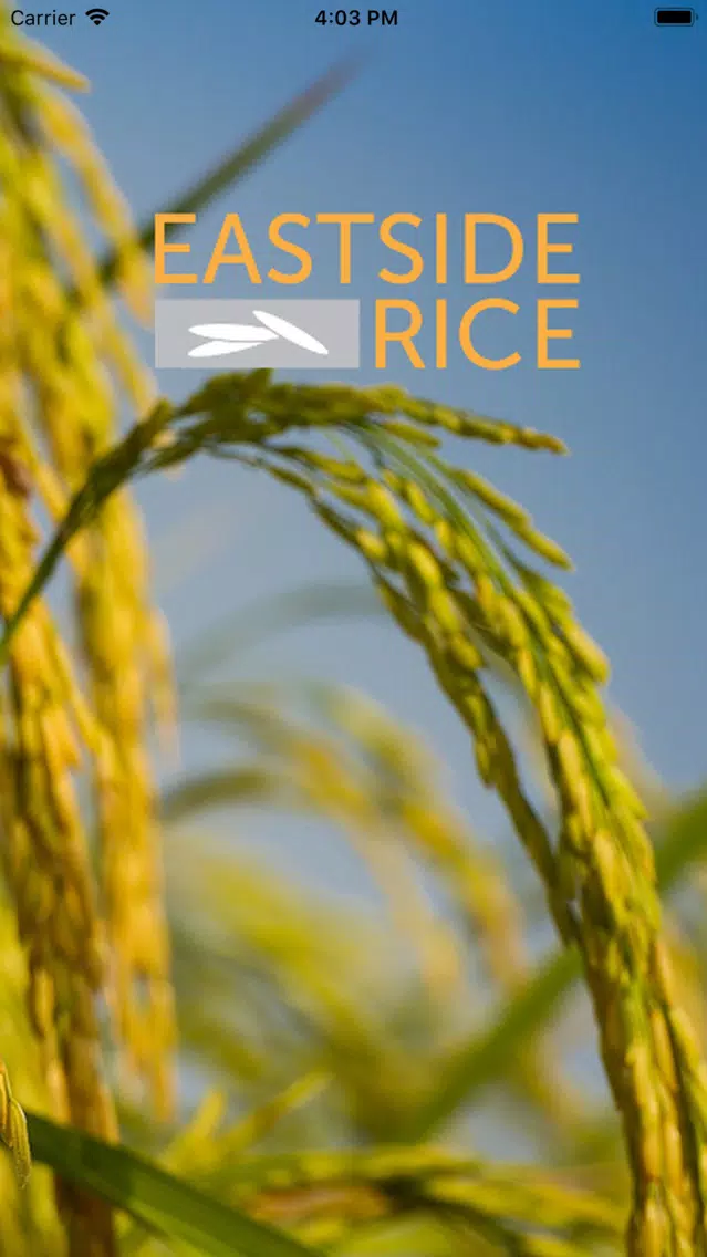 صور Eastside Rice