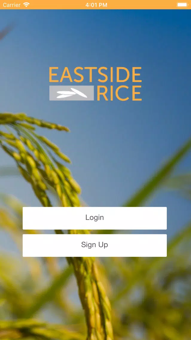 صور Eastside Rice