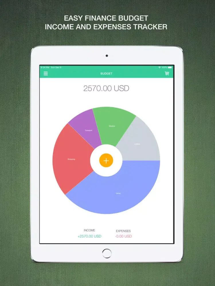Скриншоты Easy Finance Budget iPad 