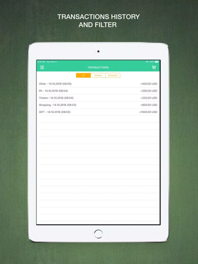 Скриншоты Easy Finance Budget iPad 