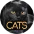 Wallpapers 4K with cats