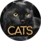 Wallpapers 4K with cats
