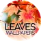 Wallpapers with leaves in 4K