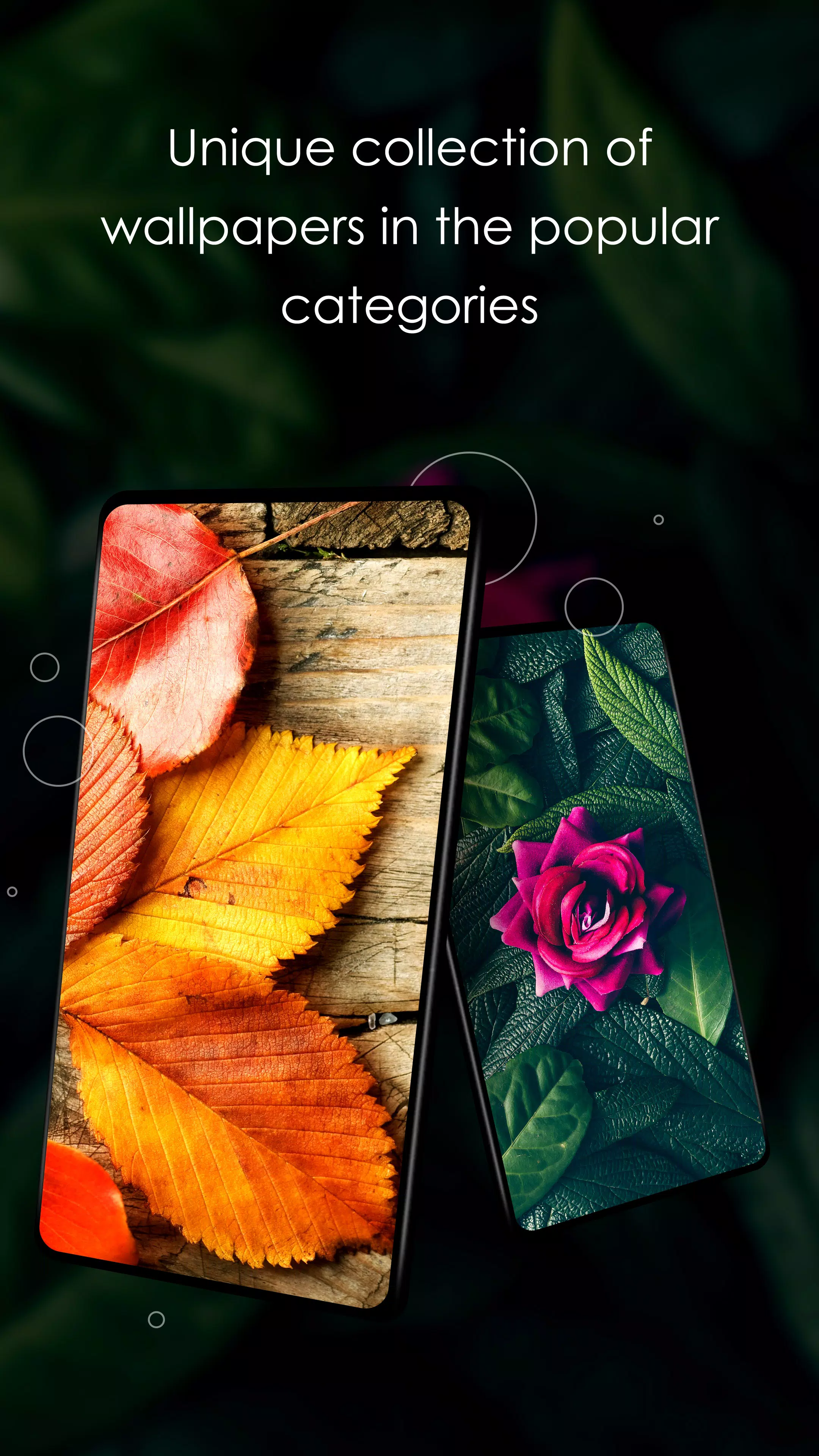 Wallpapers with leaves in 4K Screenshots