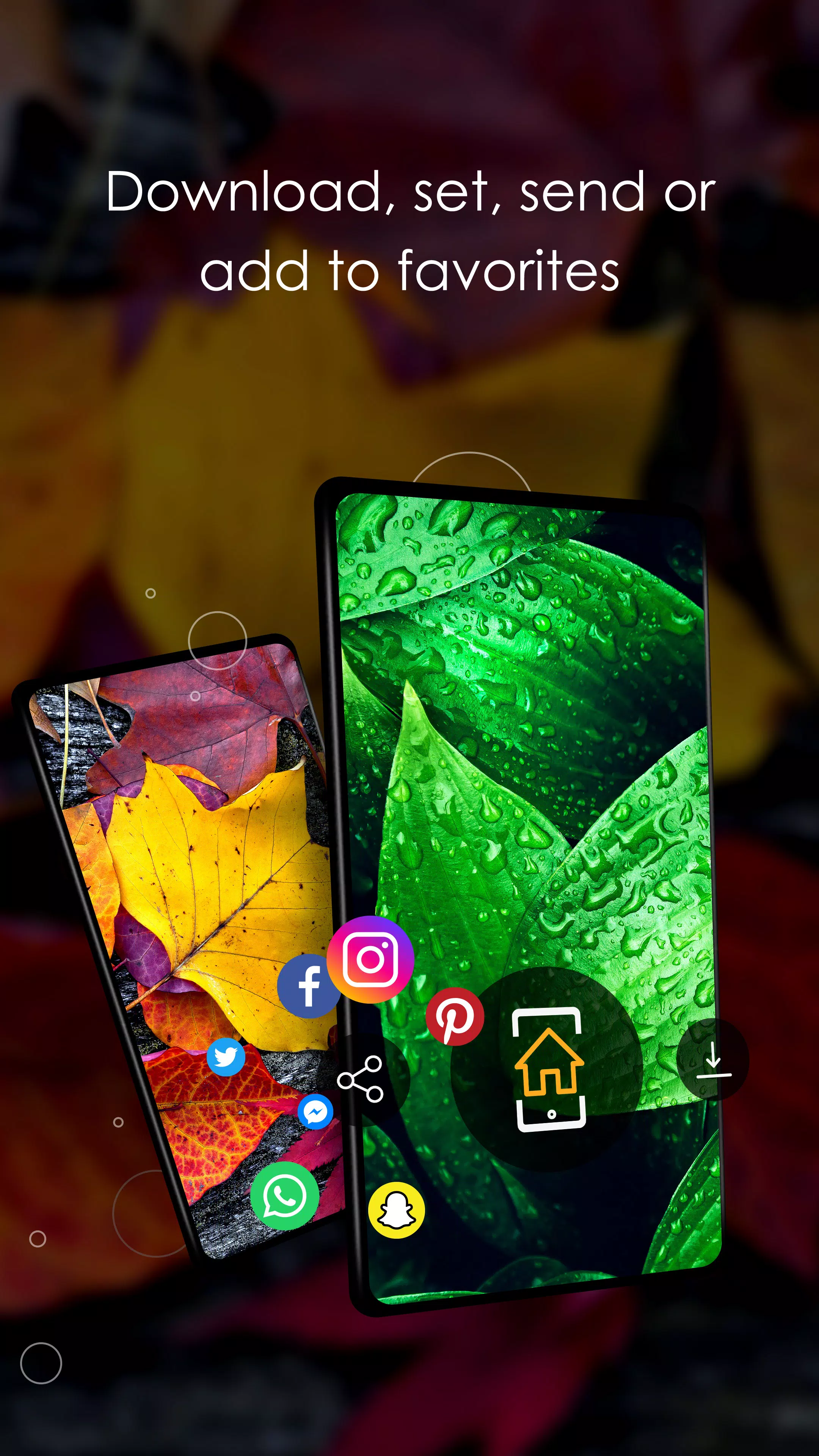 Wallpapers with leaves in 4K Screenshots