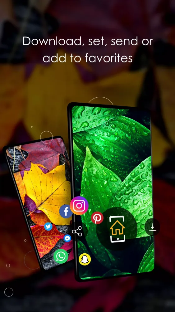 Ảnh chụp màn hình của Wallpapers with leaves in 4K