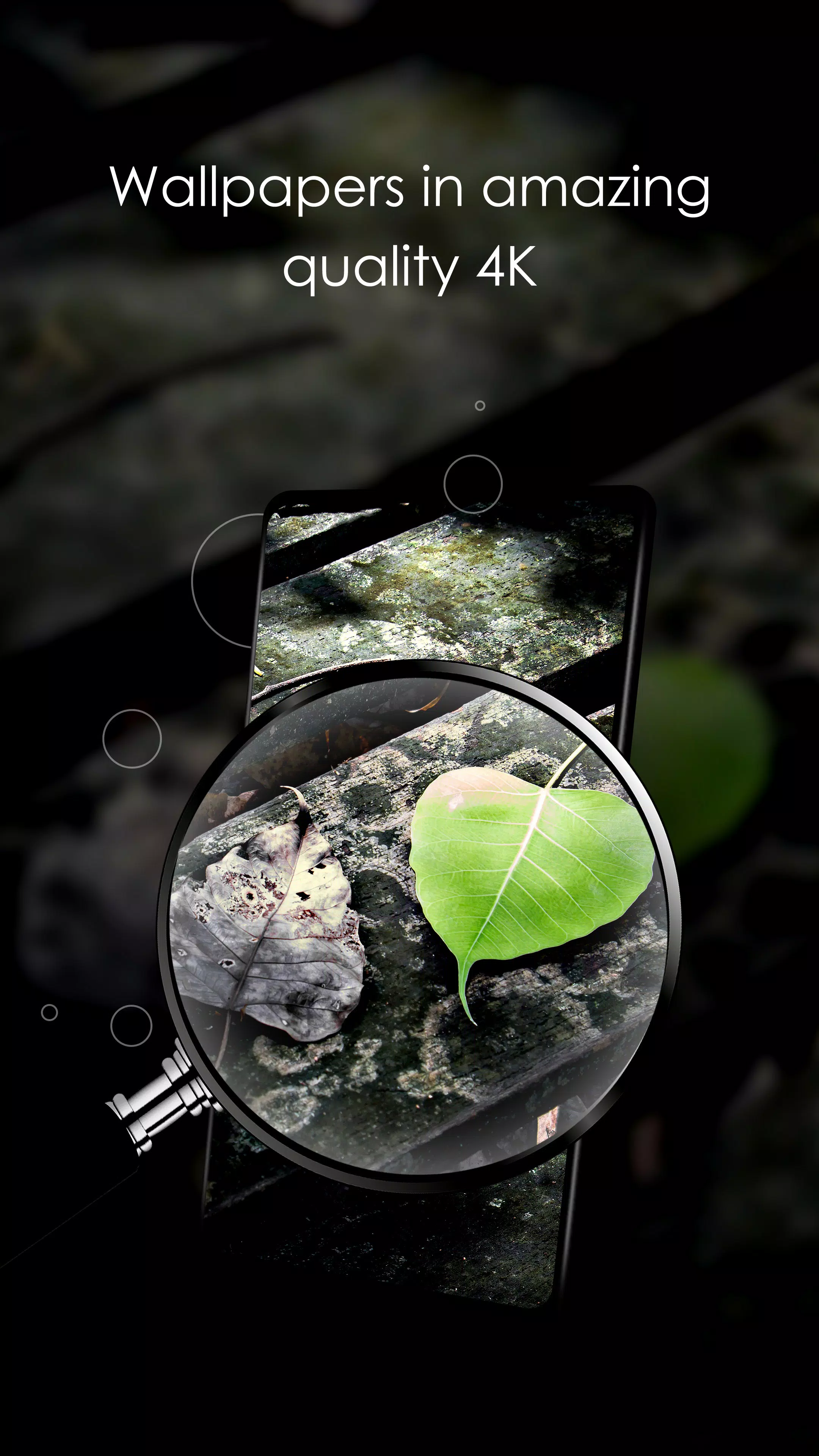 Wallpapers with leaves in 4K Screenshots