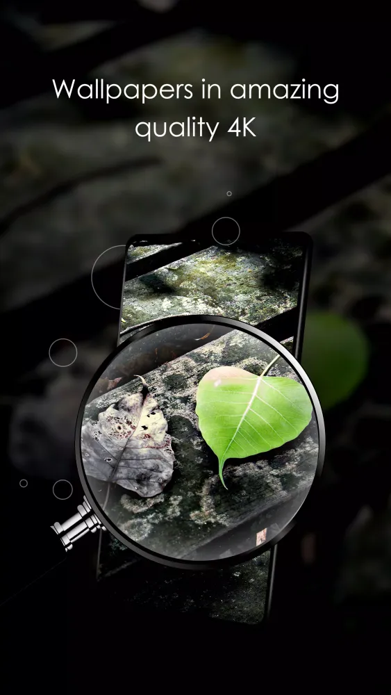 Ảnh chụp màn hình của Wallpapers with leaves in 4K
