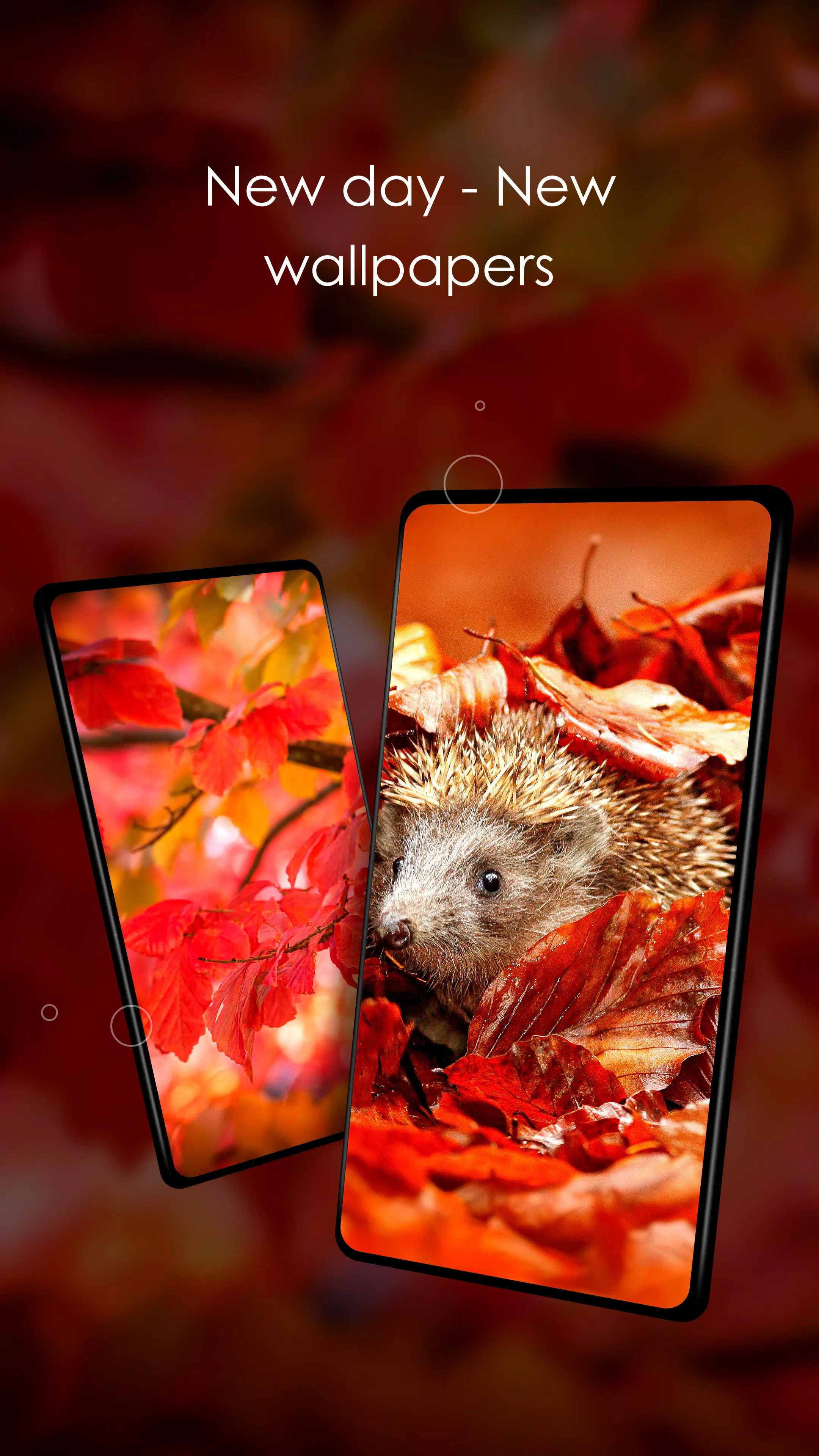 Wallpapers with leaves in 4K Screenshots
