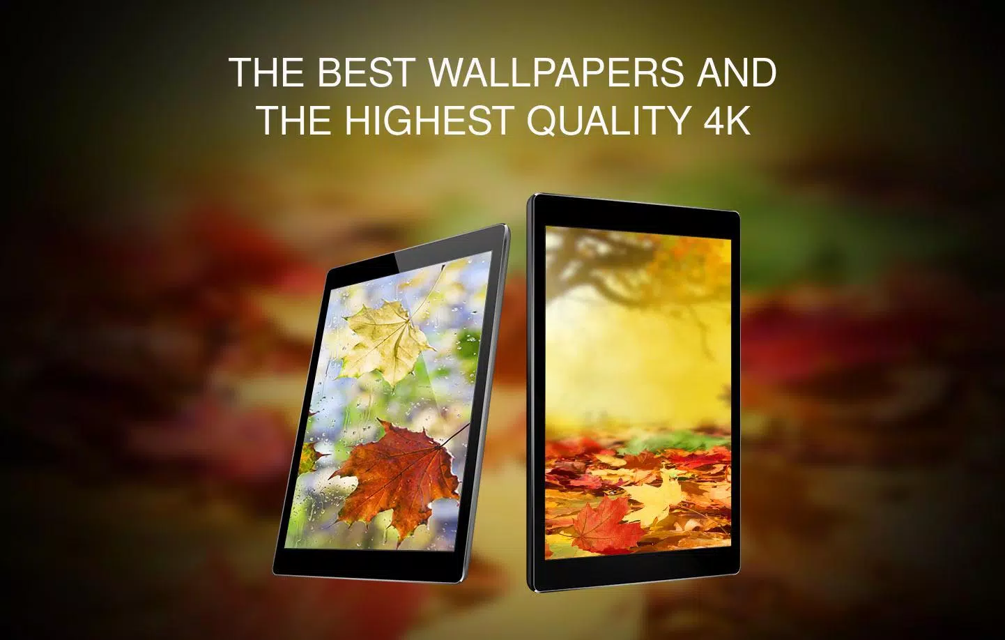 Wallpapers with leaves in 4K Screenshots