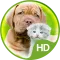 Wallpapers cute animals