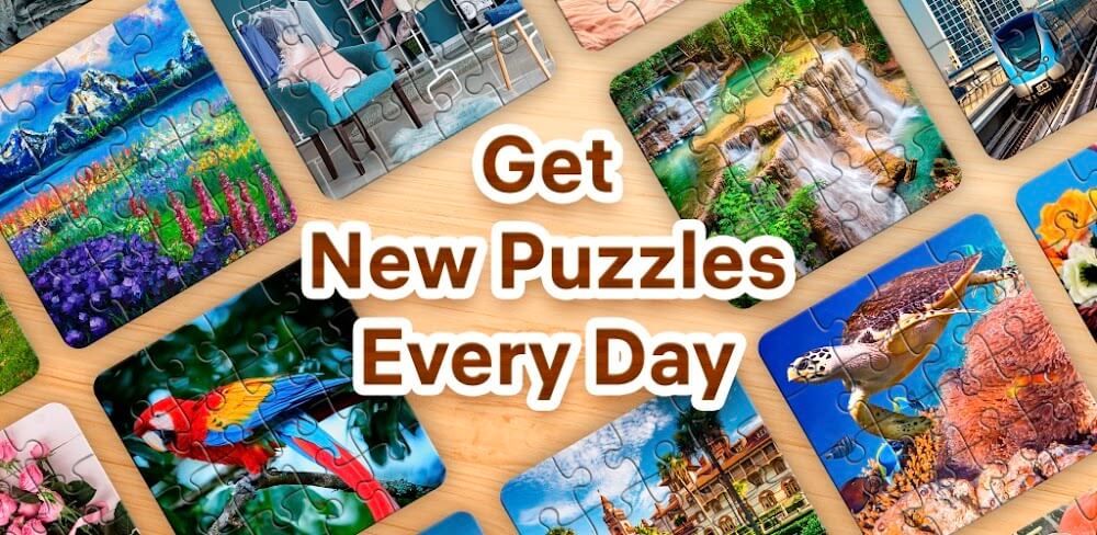 Jigsaw Puzzles