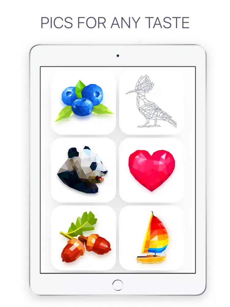 Poly: Coloring Puzzle Art Book iPad  스크린샷