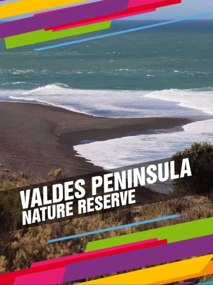 Valdes Peninsula Nature Reserve Tourism Guide iPad 应用截图