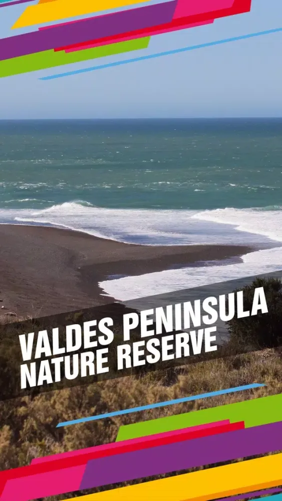 Valdes Peninsula Nature Reserve Tourism Guide应用截图