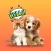 Cat & Dog Sounds: Pet Talk