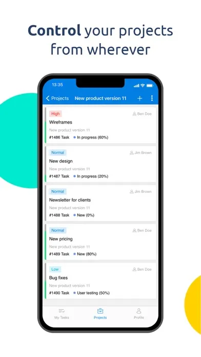 Скриншоты Easy Project