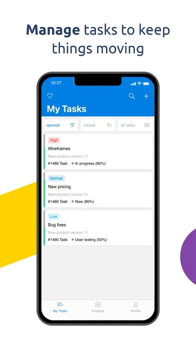 Скриншоты Easy Project