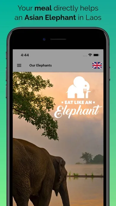 Скриншоты Eat like Elephant