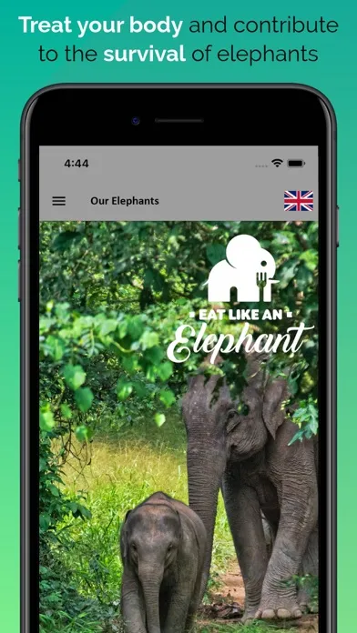 Скриншоты Eat like Elephant