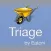 Eatoni Triage