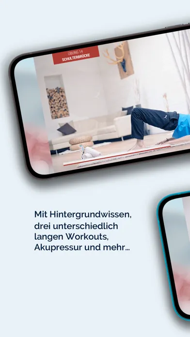 Tangkapan skrin Dein Rückentraining