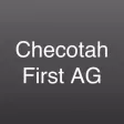 1st Assembly of God - Checotah