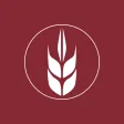 Harvest Vineyard Church