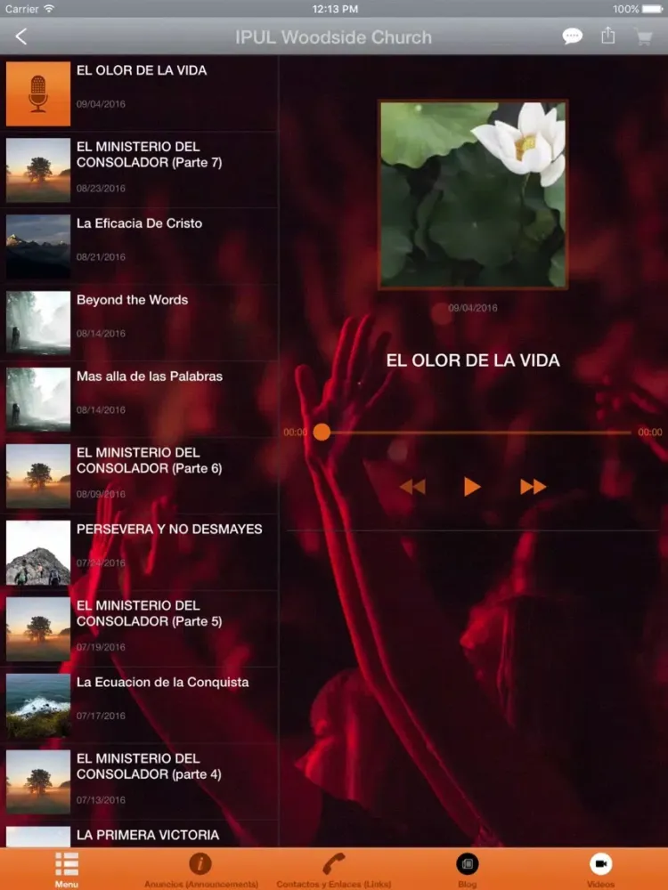 IPUL Woodside, Queens iPad  Ekran Görüntüleri