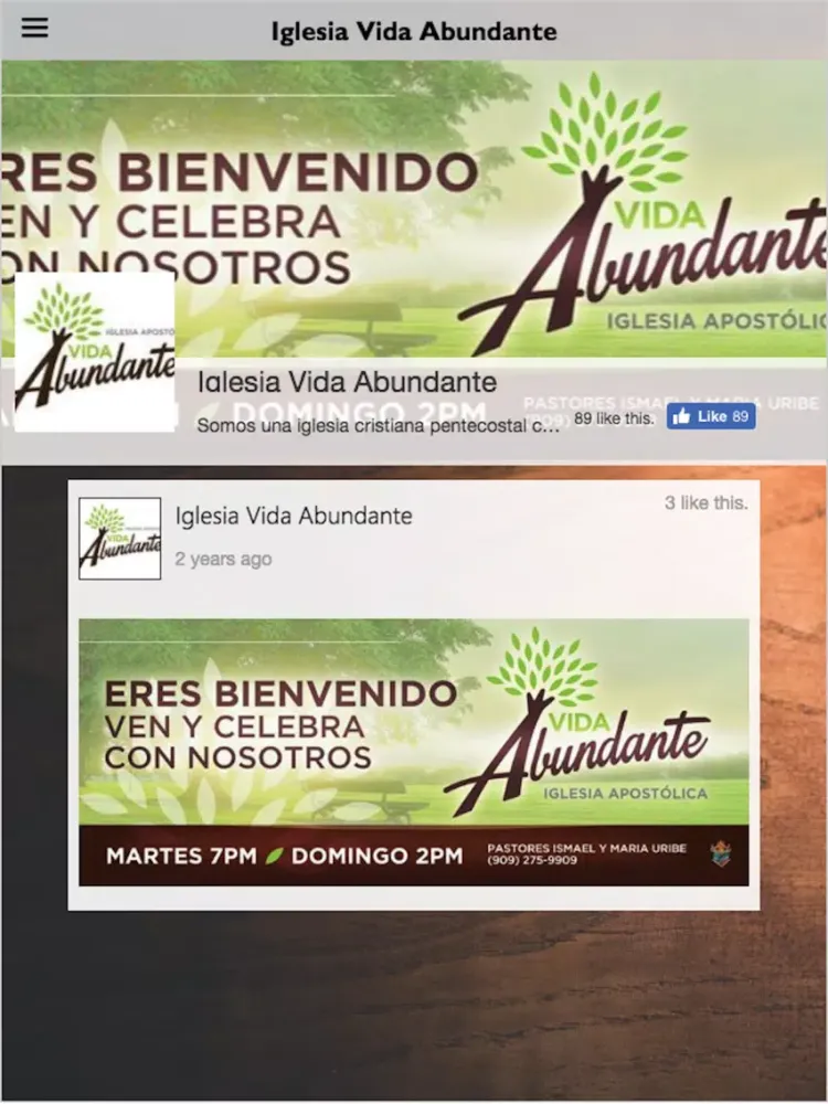 Vida Abundante SB iPad 应用截图