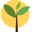 NCCA California NCCA California