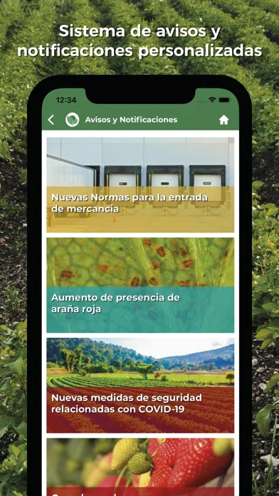 Screenshot di ECN Agro