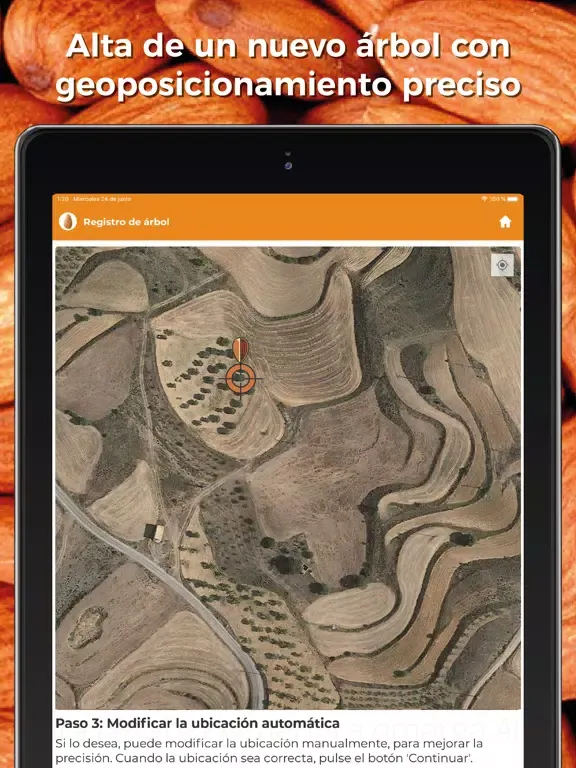 تصاویر Censo Almendro Amargo iPad 