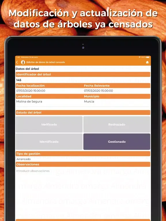 تصاویر Censo Almendro Amargo iPad 