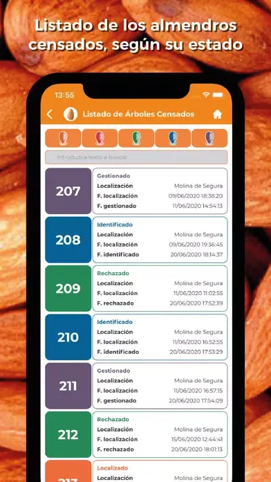 تصاویر Censo Almendro Amargo