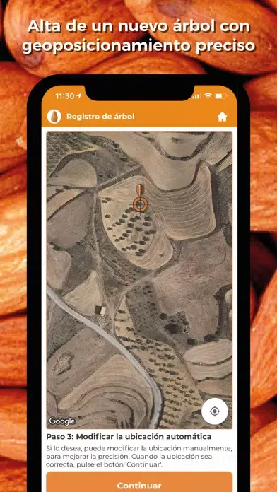 تصاویر Censo Almendro Amargo