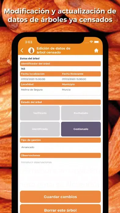 تصاویر Censo Almendro Amargo