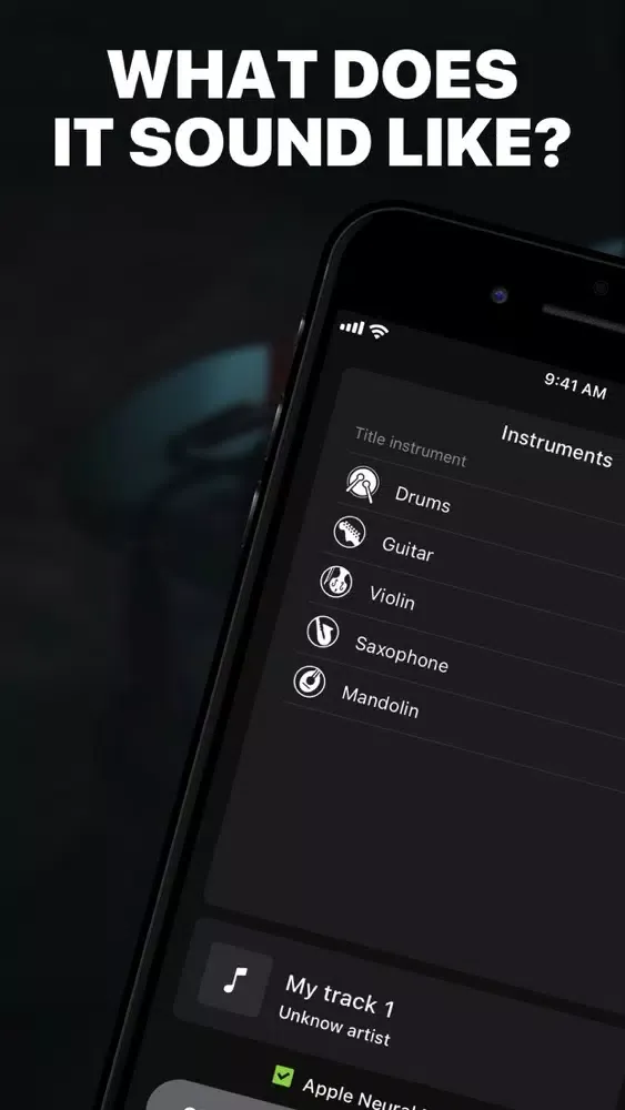 Musical Instruments Identifier Screenshots