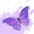 Violeta
