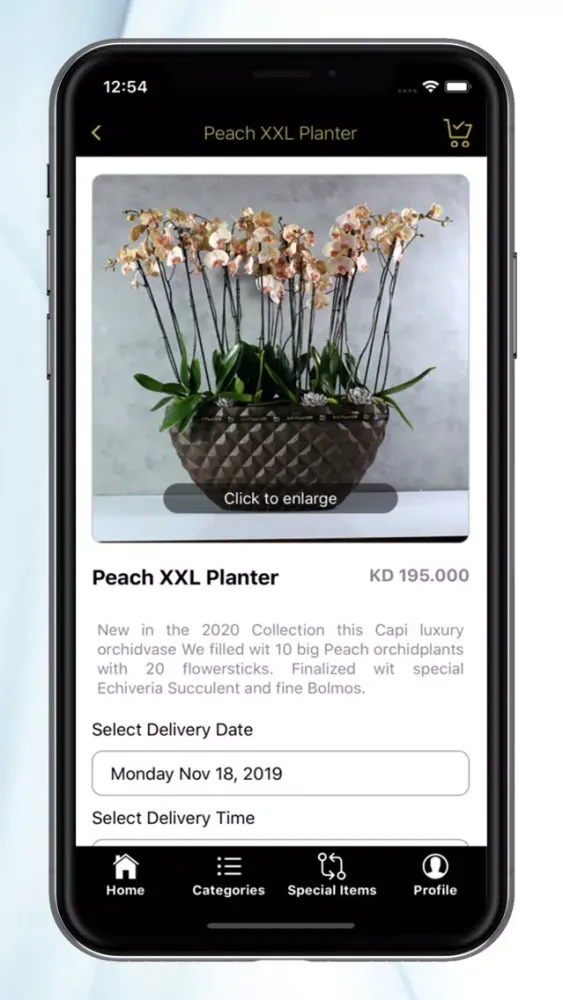 Ảnh chụp màn hình của Arti Fleur