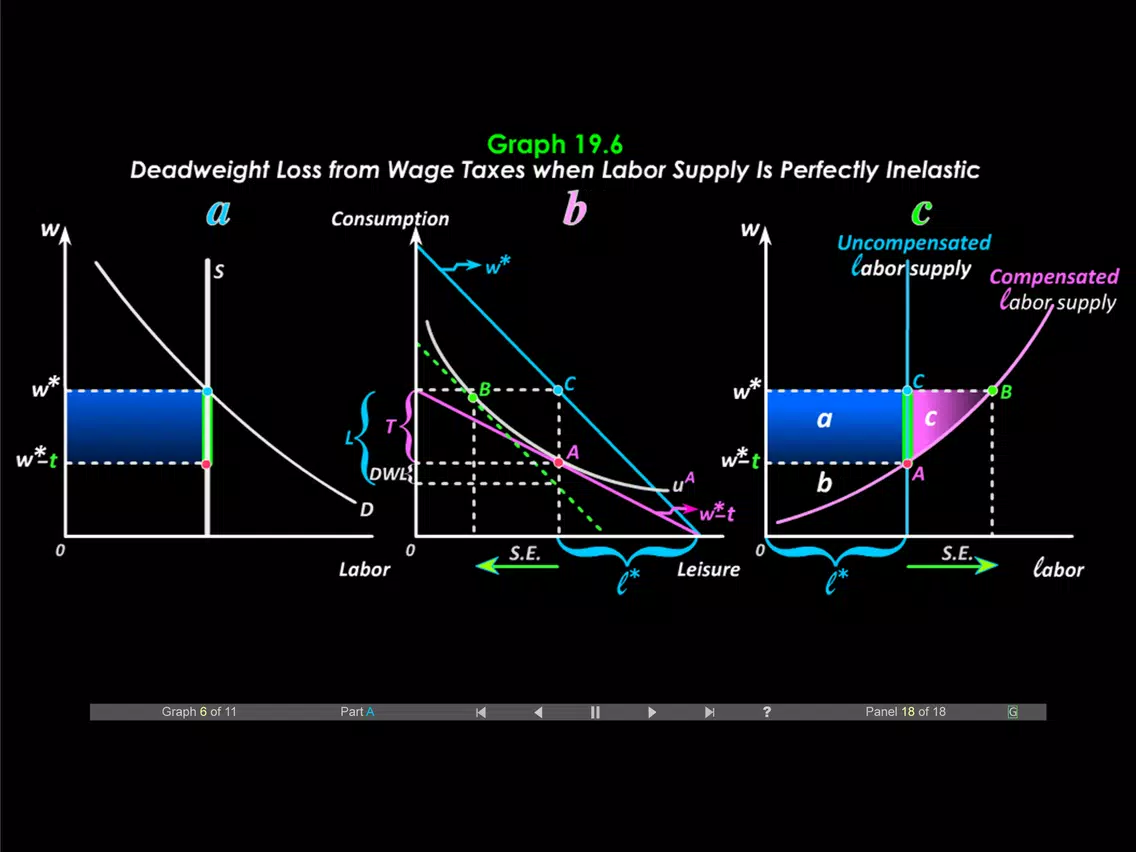 Duke Micro Econ Chapter 19 iPad  Screenshots