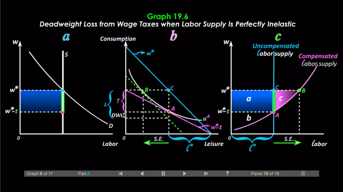 Duke Micro Econ Chapter 19 Screenshots