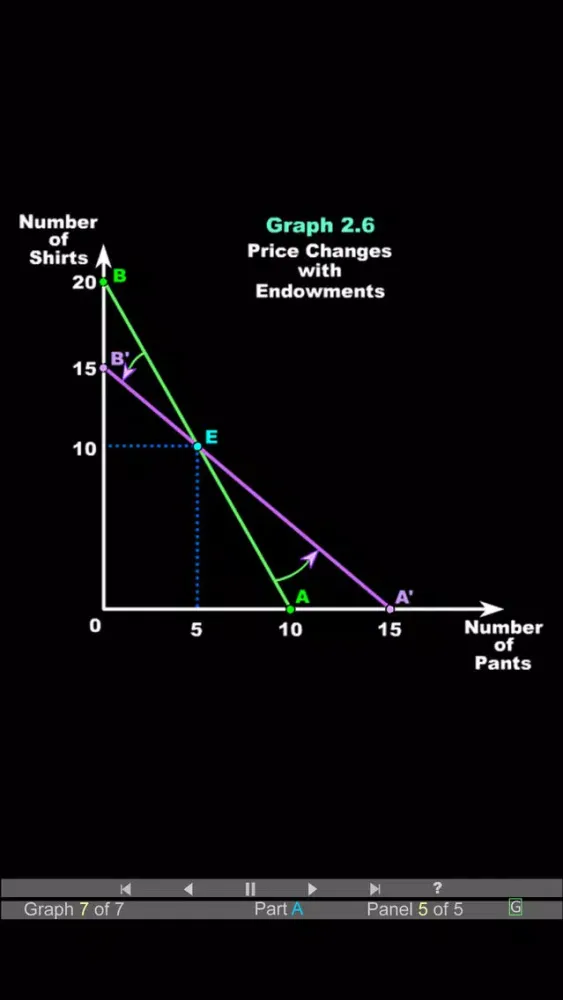 Intermediate Micro Econ 2-Budgets应用截图